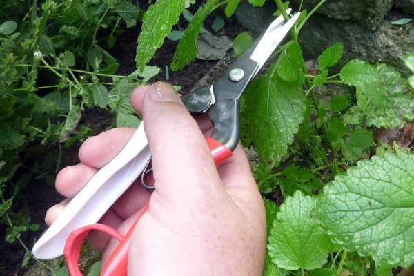 Okatsune Floral Snips 4.5 cm Long Blade Suitable for soft Stems 304