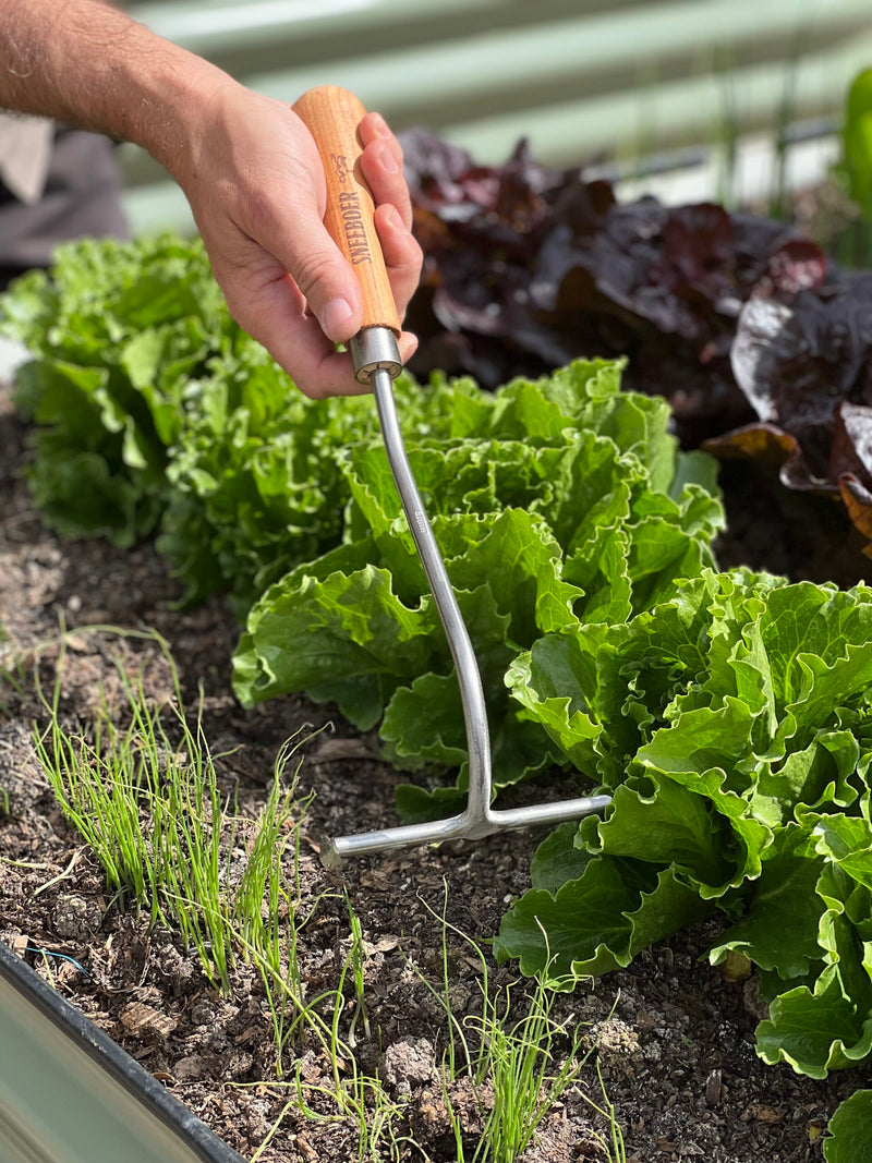 Sneeboer Hand Garden Rake with Ash Handle