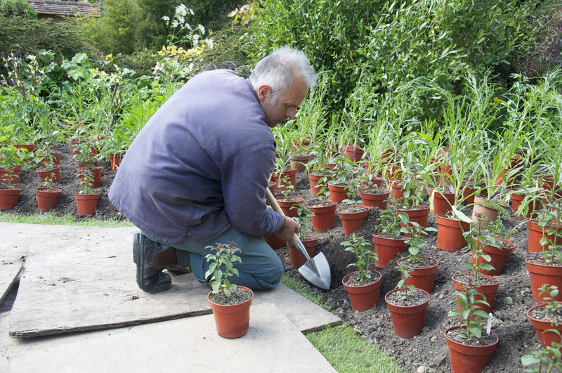 Sneeboer Great Dixter Planting Spade 42cm