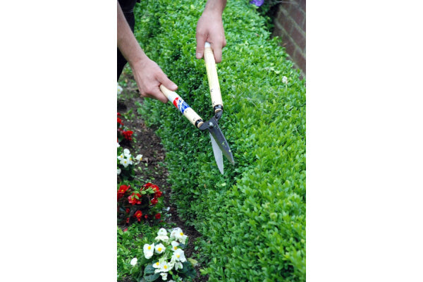 Okatsune Short Handled Hedge/Shrub Shears 217